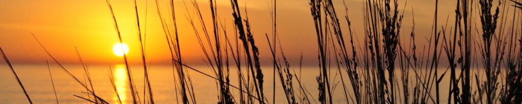 the sun is setting over the water with tall grass