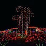 a large display of christmas lights in the dark